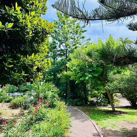 The Du Comte - Private Terrasse And Park View Apartment Cannes